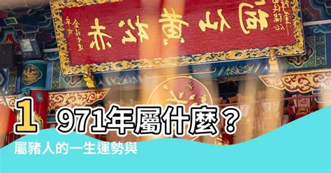 1971屬豬|【1971 豬 五行】1971年屬豬是什麼五行？你的命運大解析！